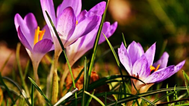 L'oroscopo del fine settimana 30-31 gennaio: incontri per Scorpione, tregua per Capricorno.