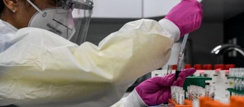 La vacuna española contra el virus comenzará sus ensayos con humanos esta primavera