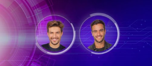 GF Vip 5, spoiler 29 gennaio: Pierpaolo Pretelli e Andrea Zelletta tra i candidati finalisti.