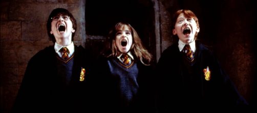 Une série sur Harry Potter serait en cours de développement. © Warner Bros.
