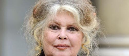 Brigitte Bardot ha dado una polémica opinión sobre el coronavirus
