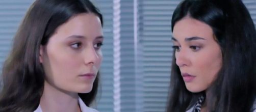 Un posto al sole, spoiler al 22/01: Ilaria chiederà scusa a Rossella.