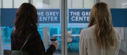 Nel secondo episodio di Grey's Anatomy 18, Amelia spingerà Meredith ad accettare la proposta di David Hamilton.