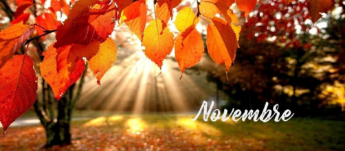 L'oroscopo del mese di novembre per la prima sestina dello zodiaco