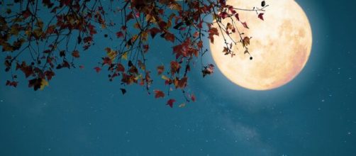 Arriva la Luna del cacciatore, primo plenilunio dell'autunno.