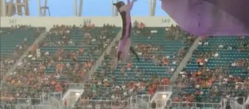 Un chat chute de plusieurs mètres dans un match de football et survit - Source : capture d'écran @TheIndependant