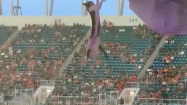 Un chat chute de plusieurs mètres dans un match de football et survit - Source : capture d'écran @TheIndependant