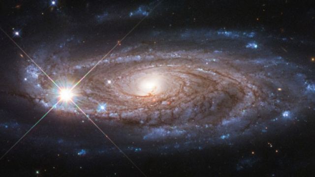 Previsioni zodiacali di lunedì 25 ottobre: Bilancia vincente, amore al top per l'Acquario.