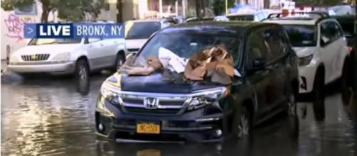 NYC issues flash flooding warnings (Image source: ABC News/YouTube)