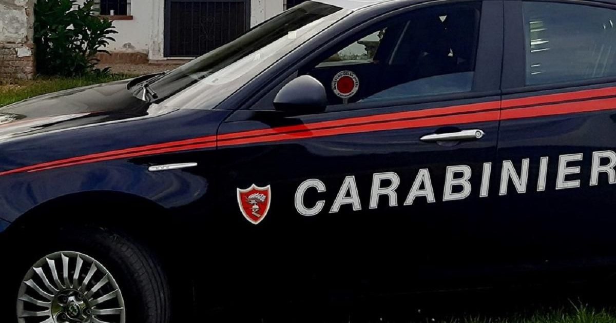 Bologna, Ex Professoressa 72enne Uccisa Forse Con Un Colpo Di Fucile ...