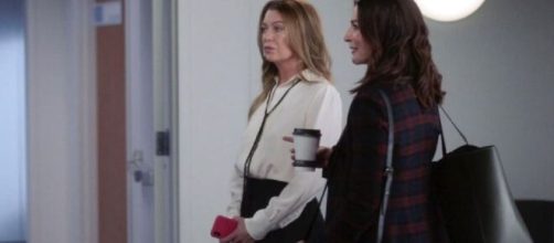 Nel secondo episodio di Grey's Anatomy 18, Meredith Grey ha valutato la proposta di lavoro di David Hamilton.