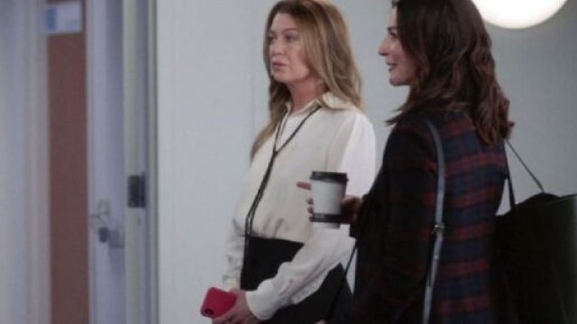 Nel secondo episodio di Grey's Anatomy 18, Meredith Grey ha valutato la proposta di lavoro di David Hamilton.