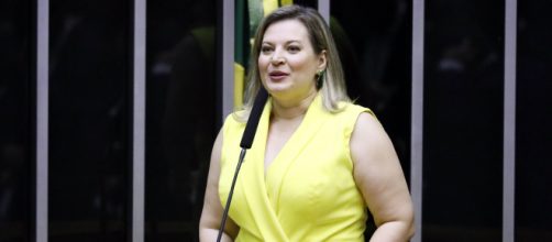 Joice Hasselmann critica Bolsonaro (Luis Macedo/Câmara dos Deputados)