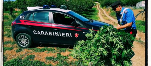 L'operazione è stata messa a segno dai carabinieri.