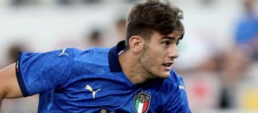 Lorenzo Lucca potrebbe trasferirsi alla Juve la prossima stagione.
