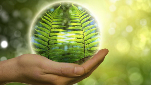 Come cambiare operatore per le forniture di luce e gas.