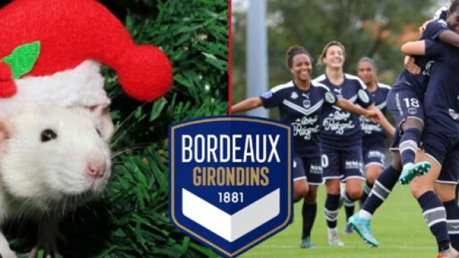 FCGB : Romain Molina dévoile les preuves du repas de Noël à 20€ que les filles payeront (captures YouTube)