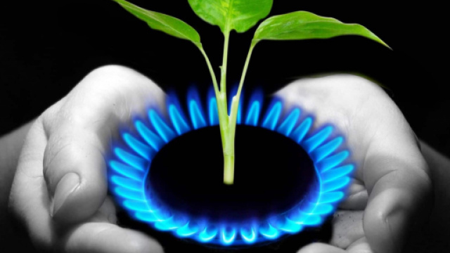 L'azienda produce gas naturale.