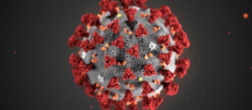 África identifica nova cepa do coronavírus, batizada de ômicron (Divulgação)