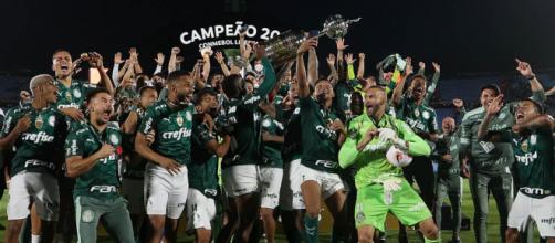 Vitória do Palmeiras na Libertadores é comemorada por famosos (Cesar Greco/Palmeiras)