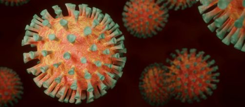 Algunas países ya han tomado medidas tras la aparición de esta nueva variante del coronavirus (Foto Pixabay)