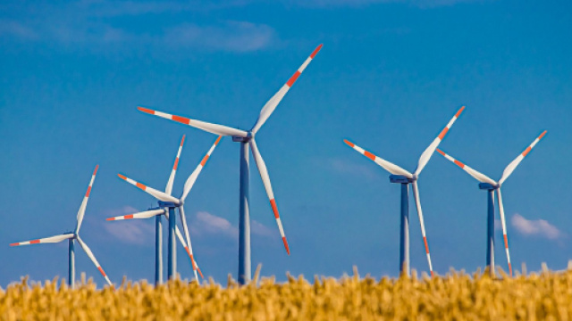 Numero verde EstEnergy: un riferimento per il territorio del Nord Est.