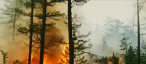 Siberia: Forest fire spreads in Arctic region due to heatwave. [Image source/WION YouTube video]