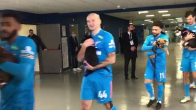 L'entrée insolite des joueurs du Zénith sur le terrain avec des chiens (capture YouTube)