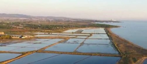 Il docente Dario Angeletti è stato trovato ieri senza vita nella sua auto parcheggiata all'ingresso delle Saline di Tarquinia.