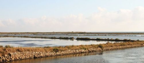 C'è un fermo per l'omicidio del professore Dario Angeletti all'ingresso delle Saline di Tarquinia.