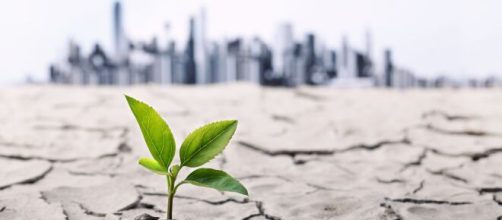 Clima, Ispra: in Italia riscaldamento più alto che in altre parti ... - meteoweb.eu