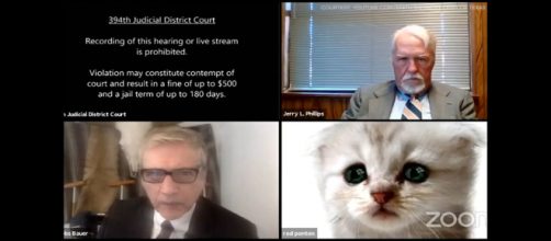 El cómico momento que se vio en un juzgado cuando se activó el filtro de gato en la computadora de un abogado.