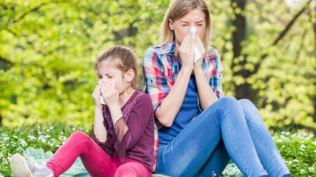 L'allergia al polline sarebbe destinata a peggiorare.