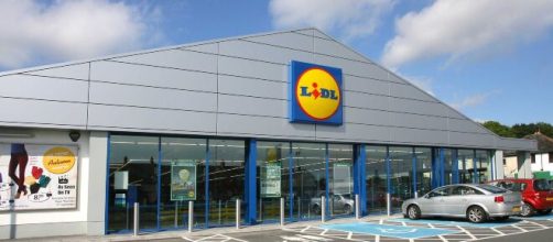 Lidl continua le assunzioni per figure con diploma.