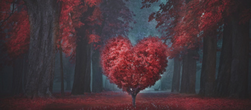Oroscopo e classifica sull'amore di marzo: Pesci romantici, Ariete passionale.