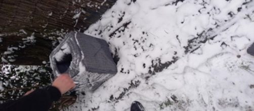 Il trouve un panier dans la neige ce qu'il trouve à l'intérieur est à peine croyable - ©capture d'écran photo Facebook