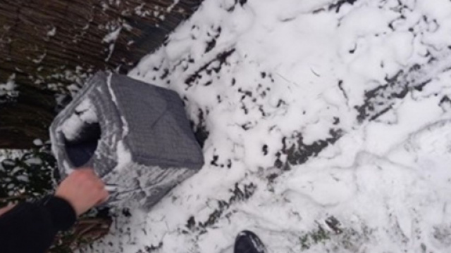 Il trouve un panier dans la neige ce qu'il trouve à l'intérieur est à peine croyable - ©capture d'écran photo Facebook