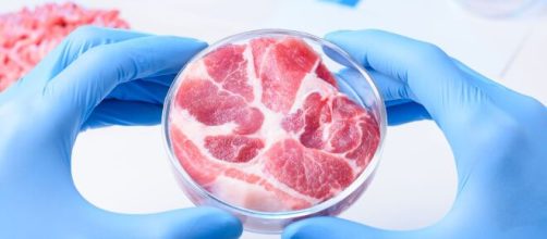 La carne sintetica come possibilità per salvare il pianeta.