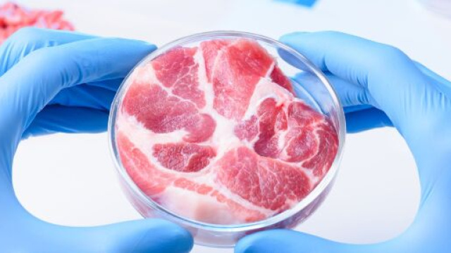 La carne sintetica come possibilità per salvare il pianeta.
