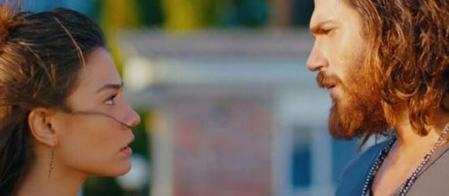 DayDreamer, trama dell’1 marzo: Can rinuncia a partire di nuovo con la sua barca.