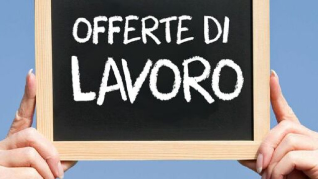 Altroconsumo: offerte di lavoro per laureati, invio cv online.