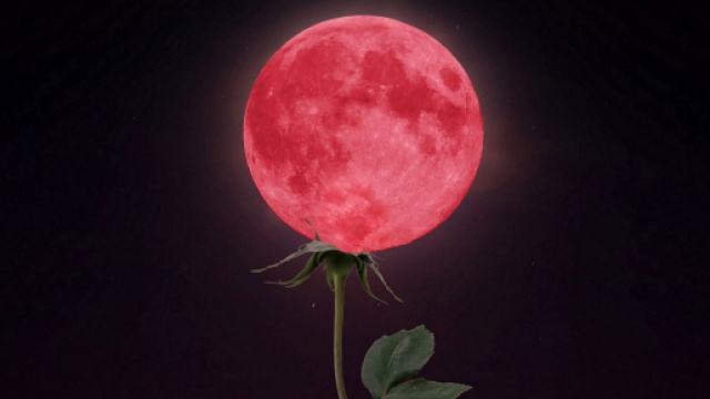 Gli astri di venerd&igrave; 26 febbraio.