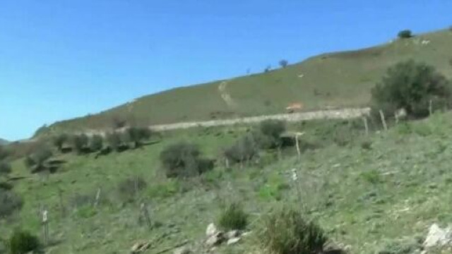 Allevatore trovato morto a Nicosia: per l'autopsia è stato ucciso.