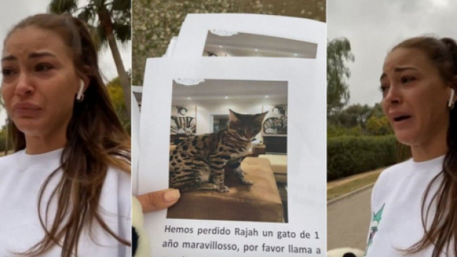 Les Princes de l'Amour 8 : Alix effondrée en pleine rue, elle est à la recherche de son chat Rajah qui a disparu depuis deux jours.