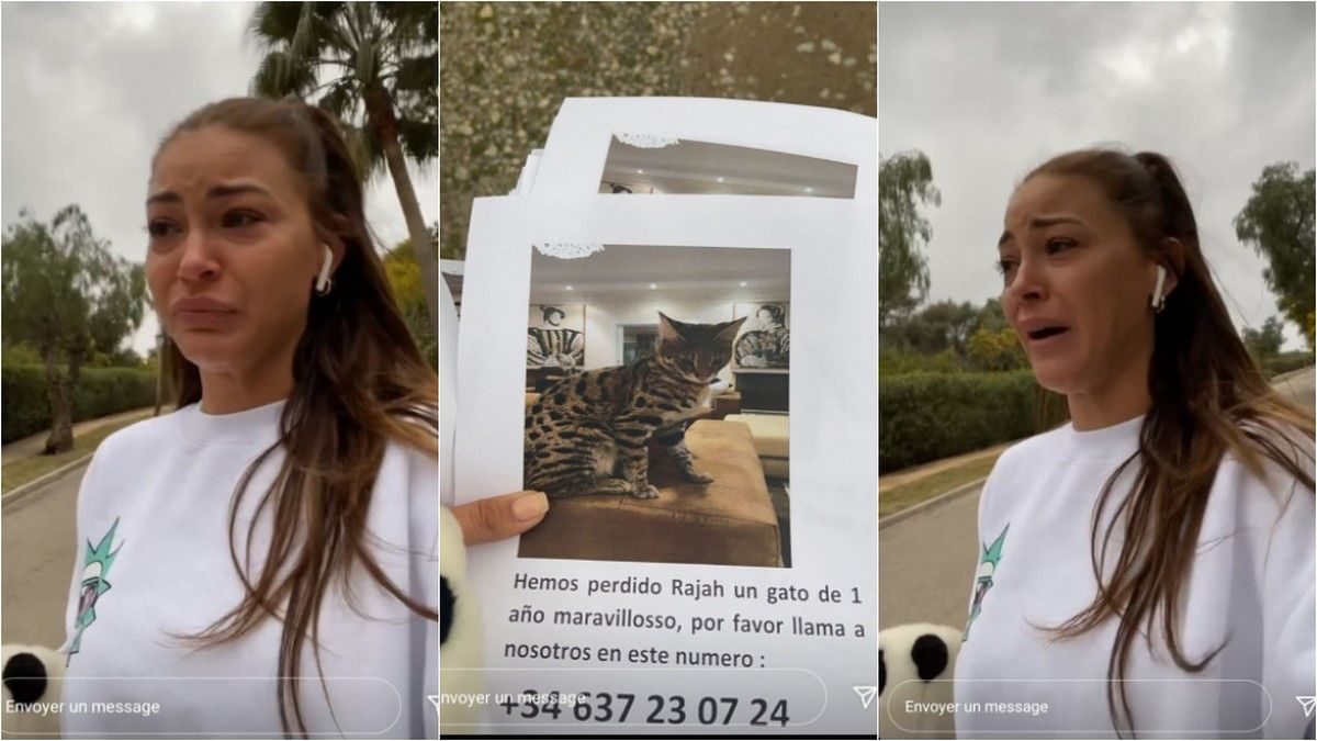 Ou Est Rajah Le Chat D alix Alix en larmes, son chat Rajah a disparu : 'J'ai l'impression d'avoir perdu  mon enfant'