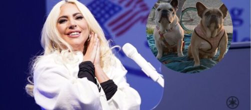 Lady Gaga recupera a los dos perros que le habían robado.