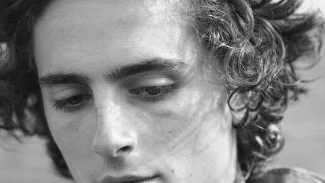 Timoth&eacute;e Chalamet ha recitato nel ruolo del figlio di Edward mani di forbice.