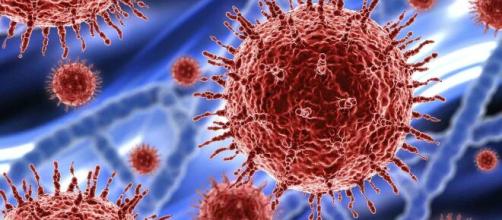 La OMS confirma que el coronavirus no se debió a un error en un laboratorio chino
