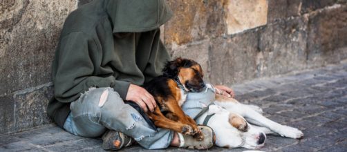 A Torino i senzatetto potranno continuare ad avere un cane