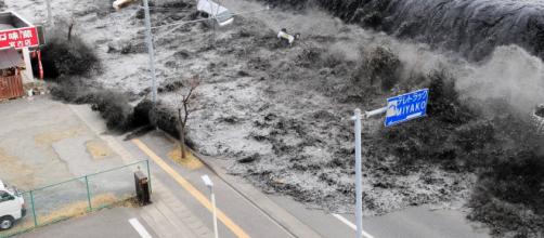Foto do tsunami que devastou a cidade de Fukushima e causou tragédia nuclear nos arredores (Arquivo Blasting News)